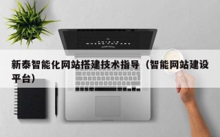 日土新泰智能化网站搭建技术指导（智能网站建设平台）